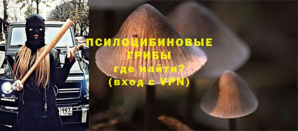 молекула духа Вязники
