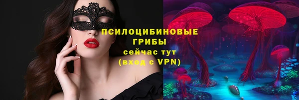 марки nbome Вяземский
