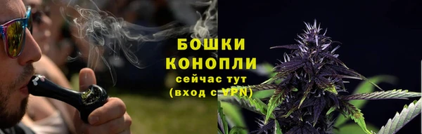 марки nbome Вяземский