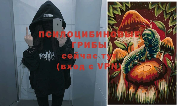 марки nbome Вяземский