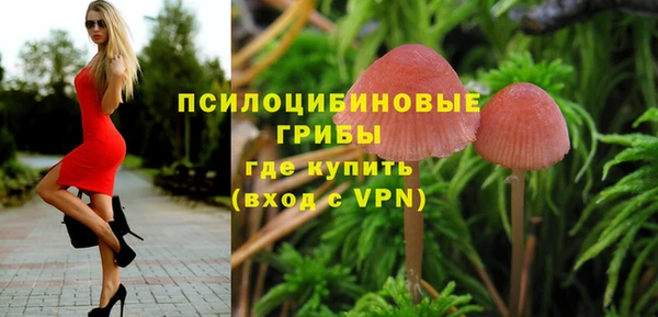 mdpv Вязьма